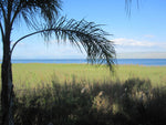 Sea of Galilee